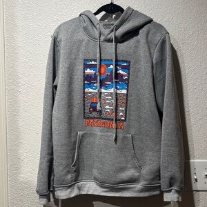 Patagonia Heather Gray Hoodie with Colorful Graphic